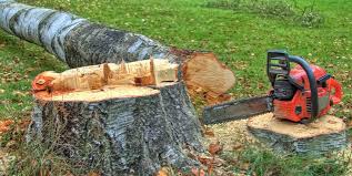 Farwell, TX Tree Services Company